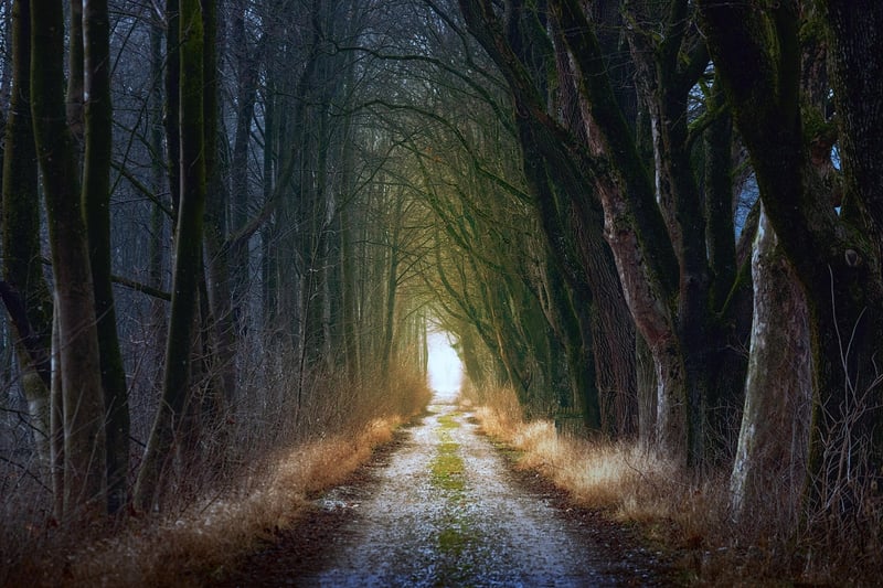 Mystic Roads